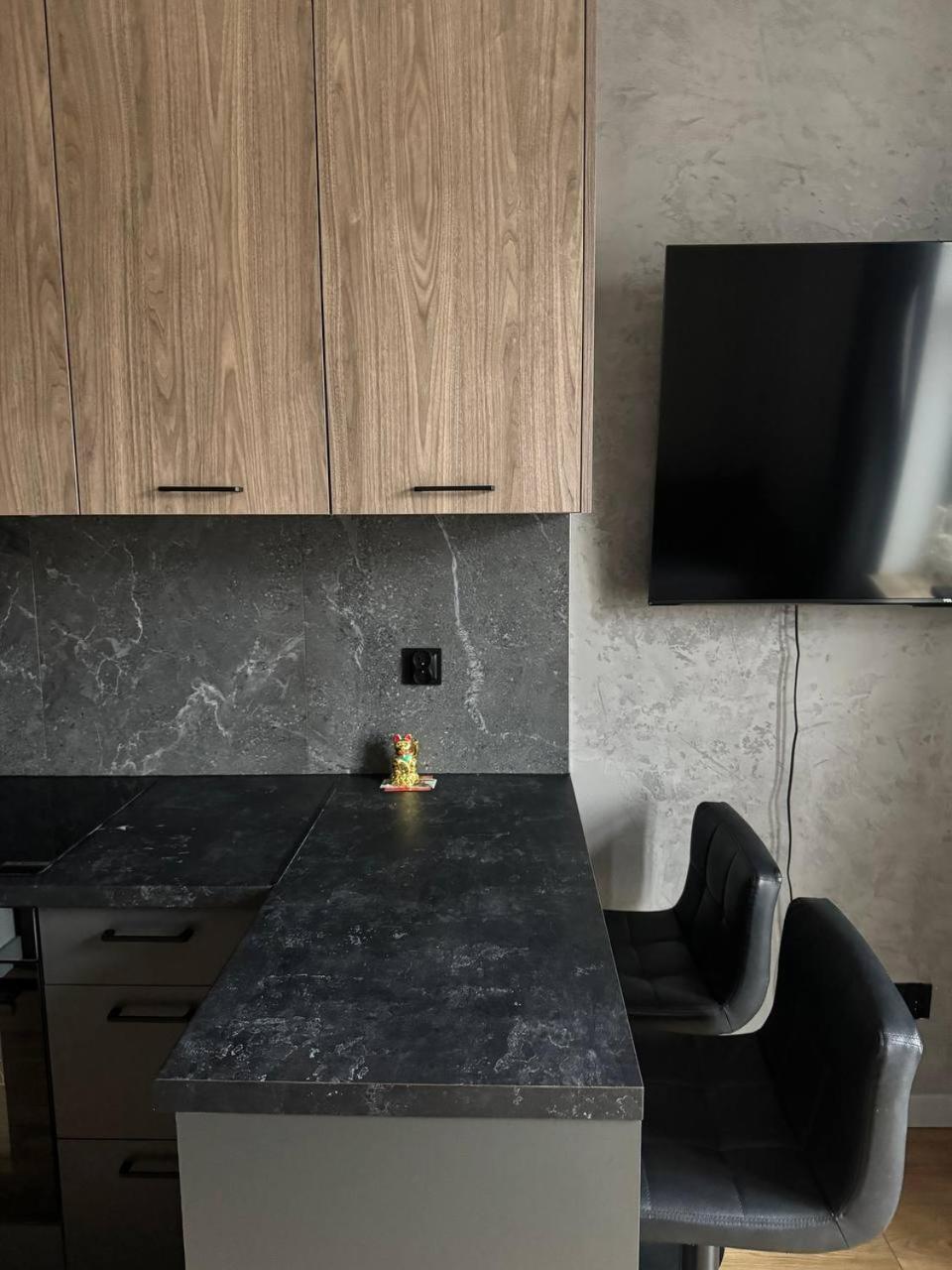 Elegant Studio Apartment, Kazimierz, كراكوفيا المظهر الخارجي الصورة